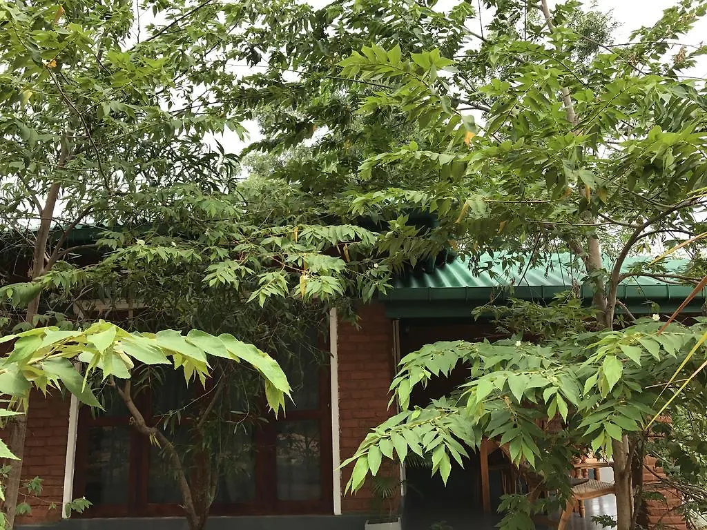 Sunshine Resort & Spa Sigiriya